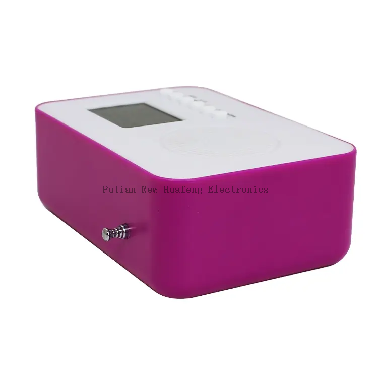 FM Radio Clock 