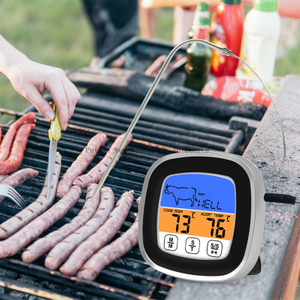 デジタル肉体温計,デジタル肉体温計,肉のプローブ,キッチン調理用タイマー機能
