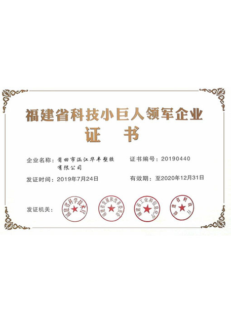 Leading Enterprise of Fujian Science and Technology Little Giant
