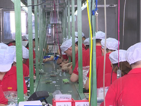 Putian New HuaFeng Electronics Co.,Ltd