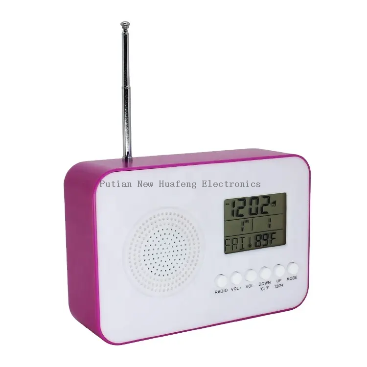 FM Radio Clock 